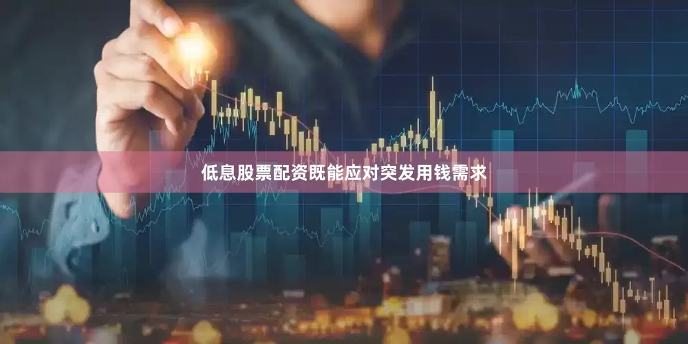 低息股票配资既能应对突发用钱需求
