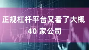 正规杠杆平台又看了大概 40 家公司