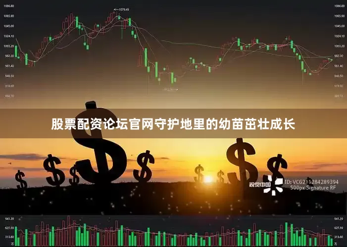 股票配资论坛官网守护地里的幼苗茁壮成长